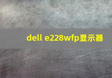 dell e228wfp显示器